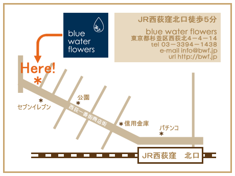 blue water flowers 画像3