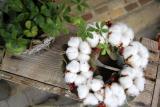 Cotton Wreath)