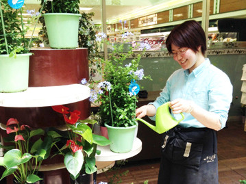 ★花店の経験者、長期レギュラー大歓迎★