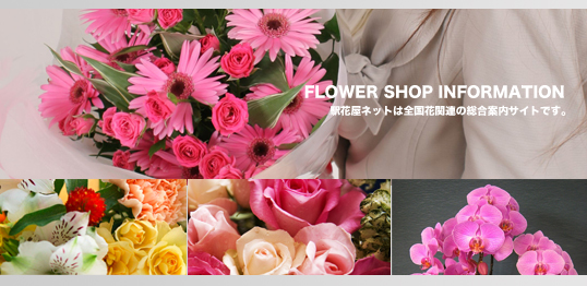 FLOWERSHOP INFORMATION