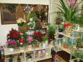 お花と陶芸のお店 花とフラスタ