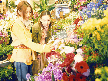 FLOWER MARKET　花市場